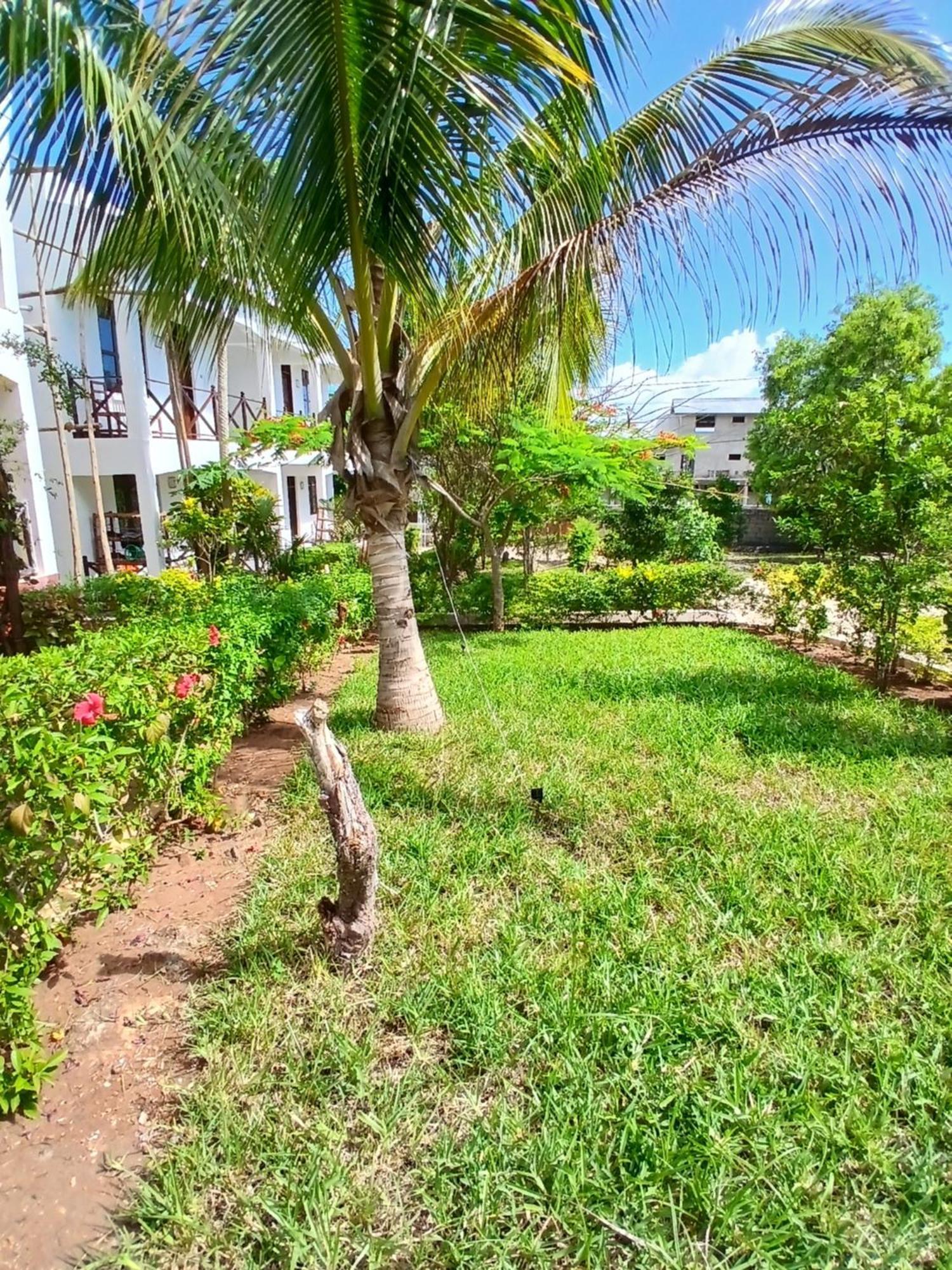 Vila Majani Breeze Nungwi Exteriér fotografie